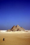 List_camel-aegypten-pixabay