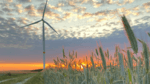 List_c5281_qualitas_energy_erwirbt_36-mw_windpark_projekt